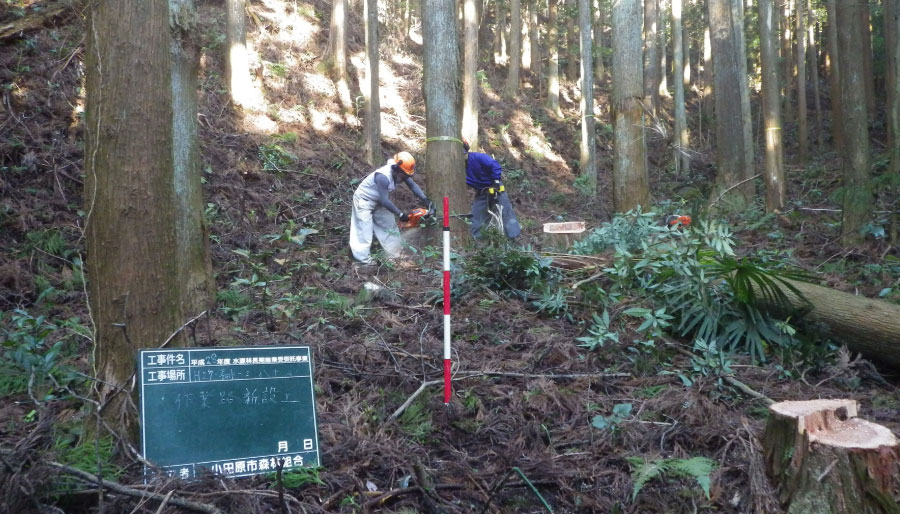 写真提供:小田原地区木材業協同組合