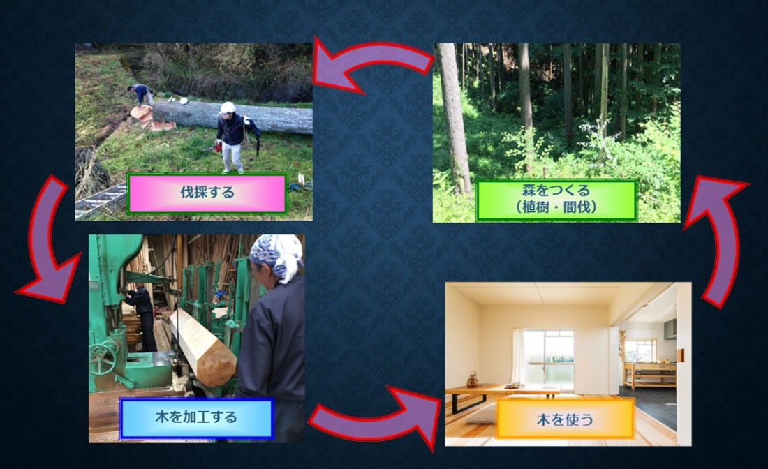 木の循環